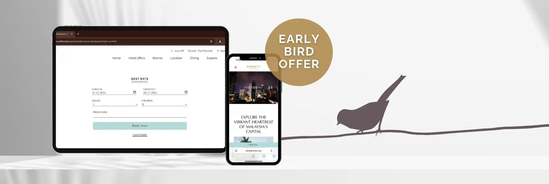 Early Bird Offer