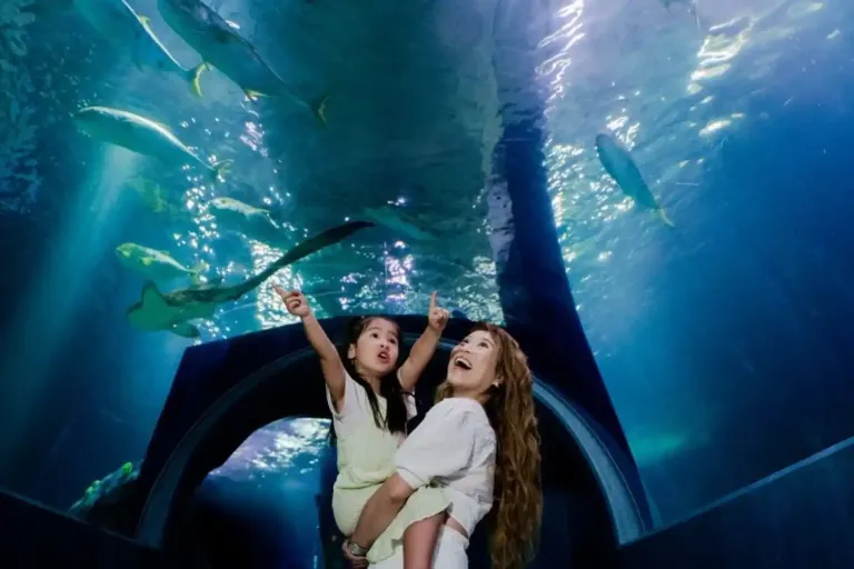 10 Best Family-Friendly Activities in Melbourne