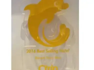 2016 Best Selling Hotel