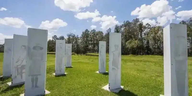 Forest Of Memories in Queensland.