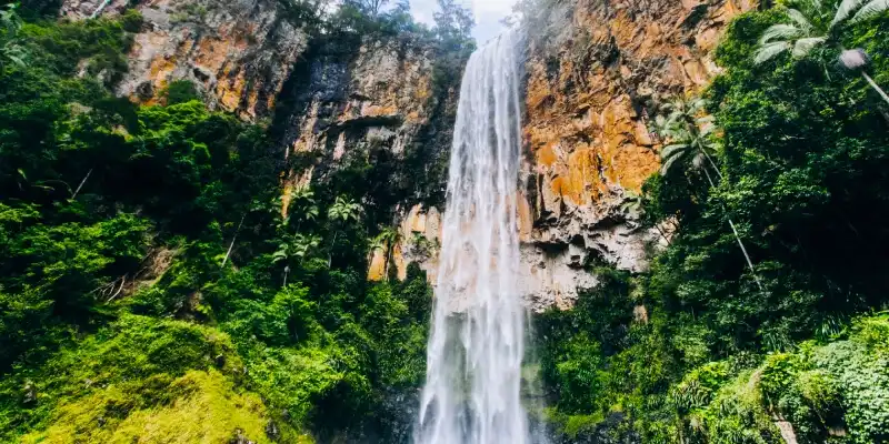 Purling Brook Falls, Springbrook National Park