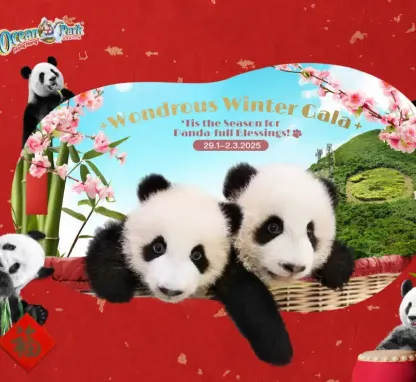 'Tis the Season for Panda-full Blessings!