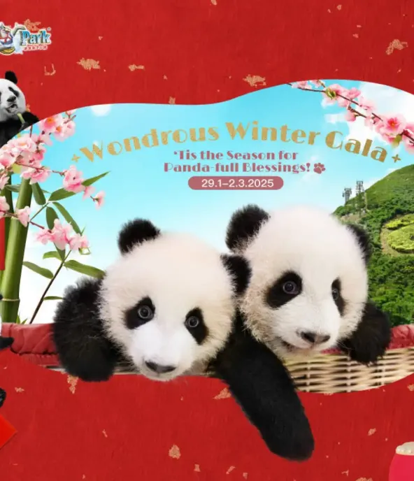 'Tis the Season for Panda-full Blessings!