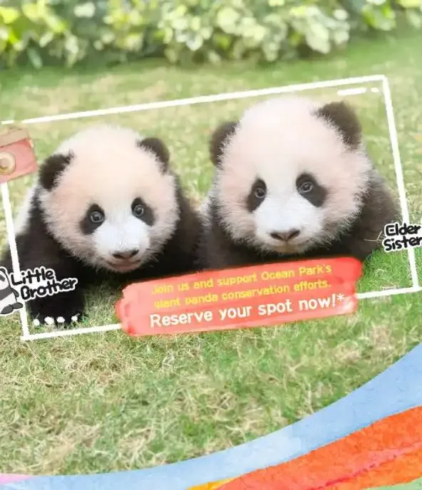 Tis the Season for Panda-full Blessings!