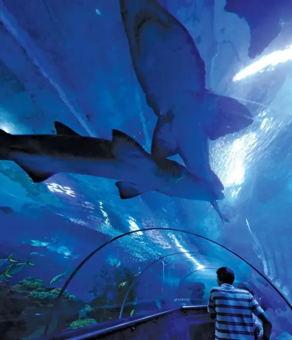 Aquaria KLCC