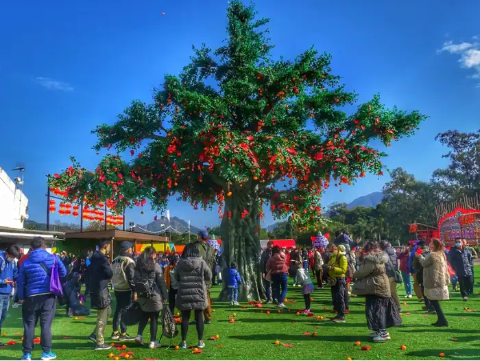 Tai Po Lam Tsuen Wishing Trees – Dorsett Tsuen Wan, Hong Kong